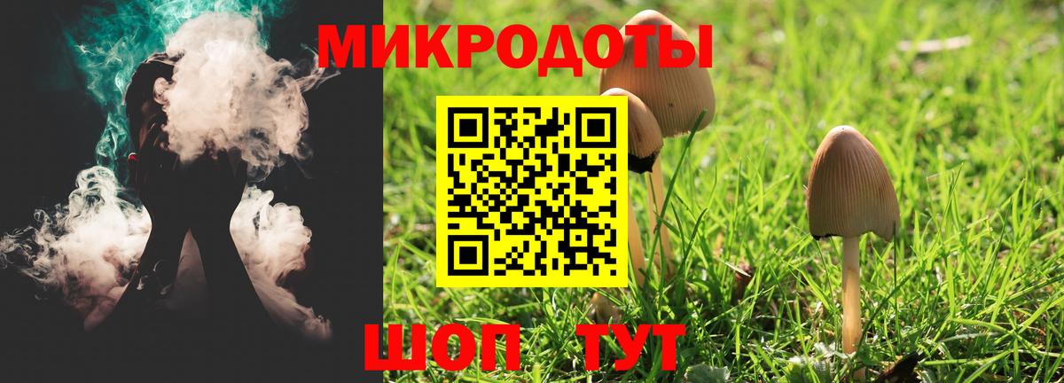 Псилоцибиновые грибы Psilocybe Абакан