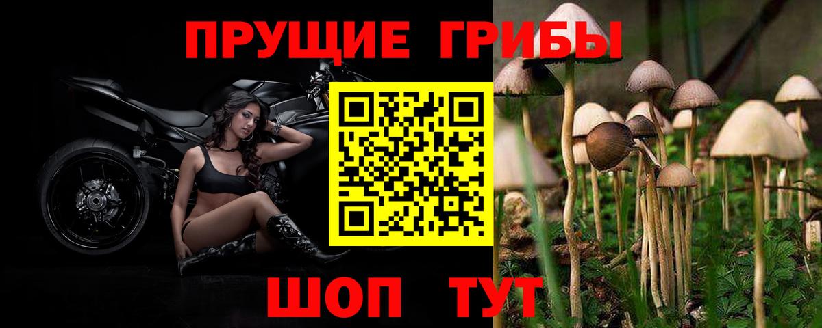Псилоцибиновые грибы мицелий  Вход с VPN  Абакан 